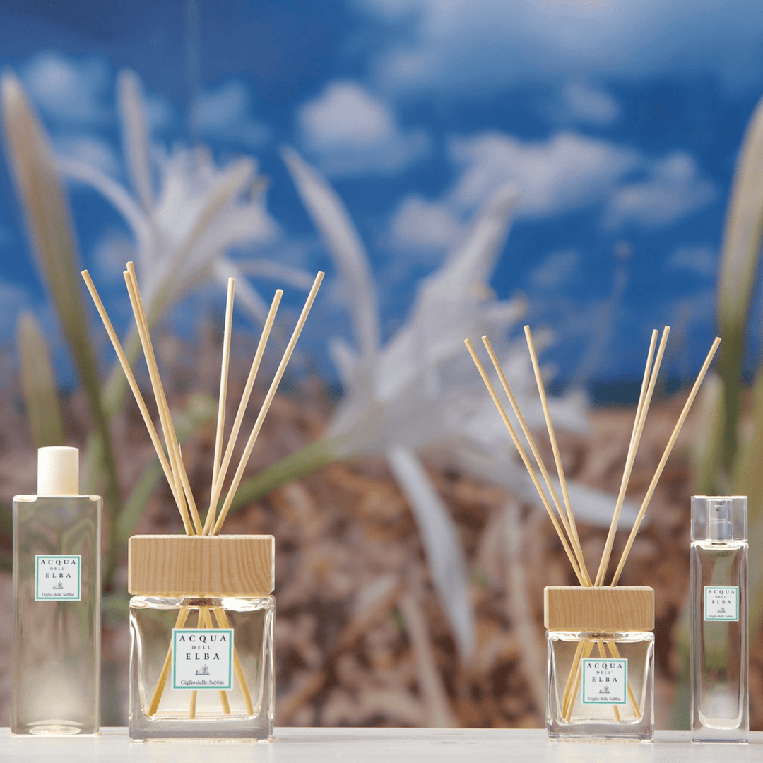 Acqua Dell'Elba Home Diffuser Acqua Dell'Elba Giglio Delle Sabbie Fragrance Diffuser 16.9 fl oz 500 ml Brand