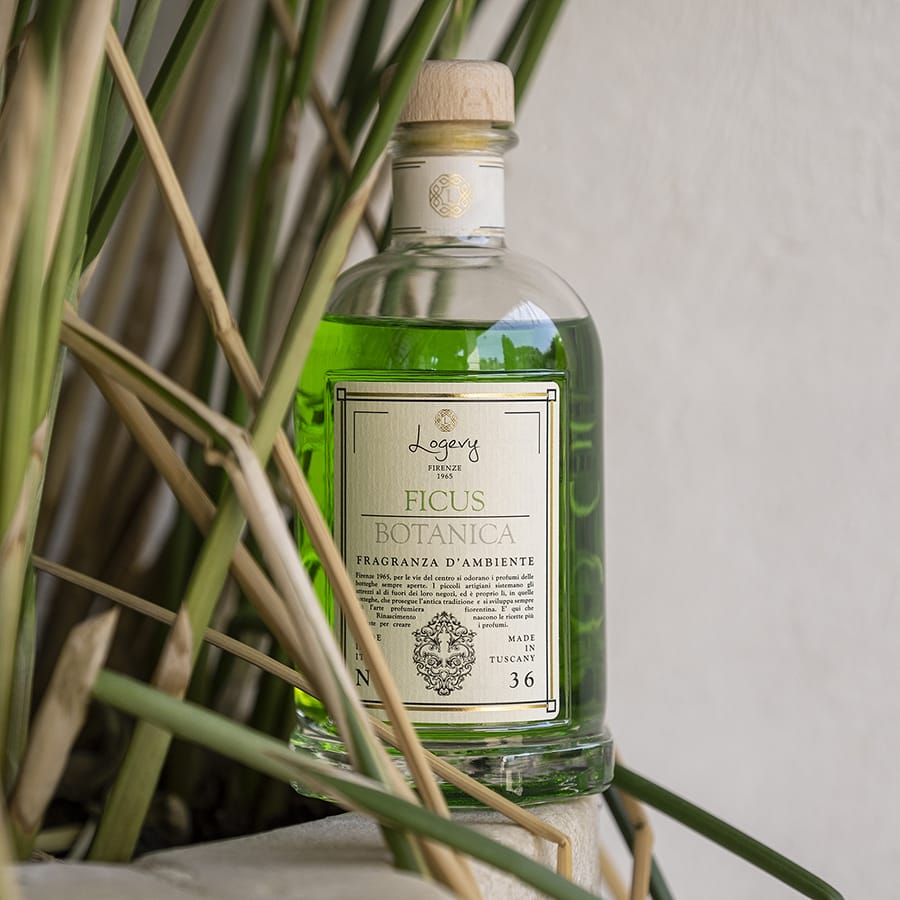 Home Diffuser Logevy Ficus Botany Home Fragrance Brand