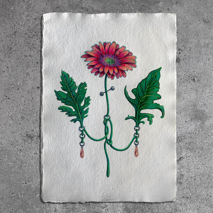 Silviya Neri Painting Silviya Neri Artist Gerbera Botanical Handmade Illustration Silviya Neri: Artist Gerbera Botanical Handmade Illustration Brand