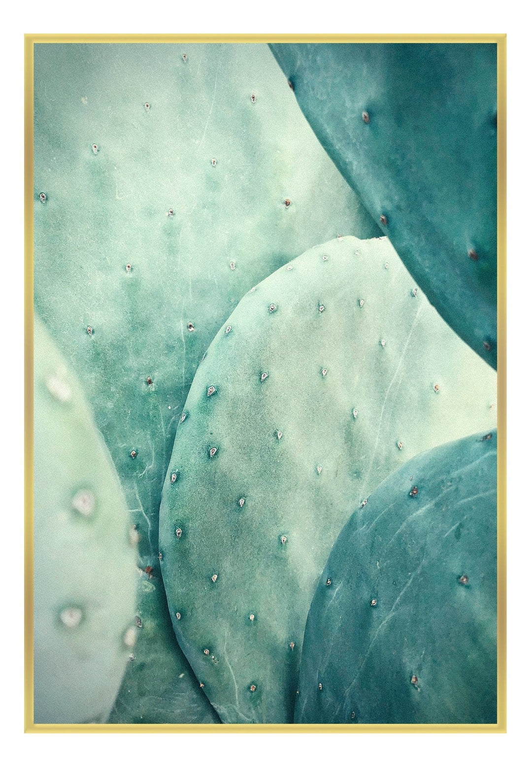 Canvas Print Small		50x70cm / Gold Cactus Cactus Wall Art : Ready to hang framed artwork. Brand