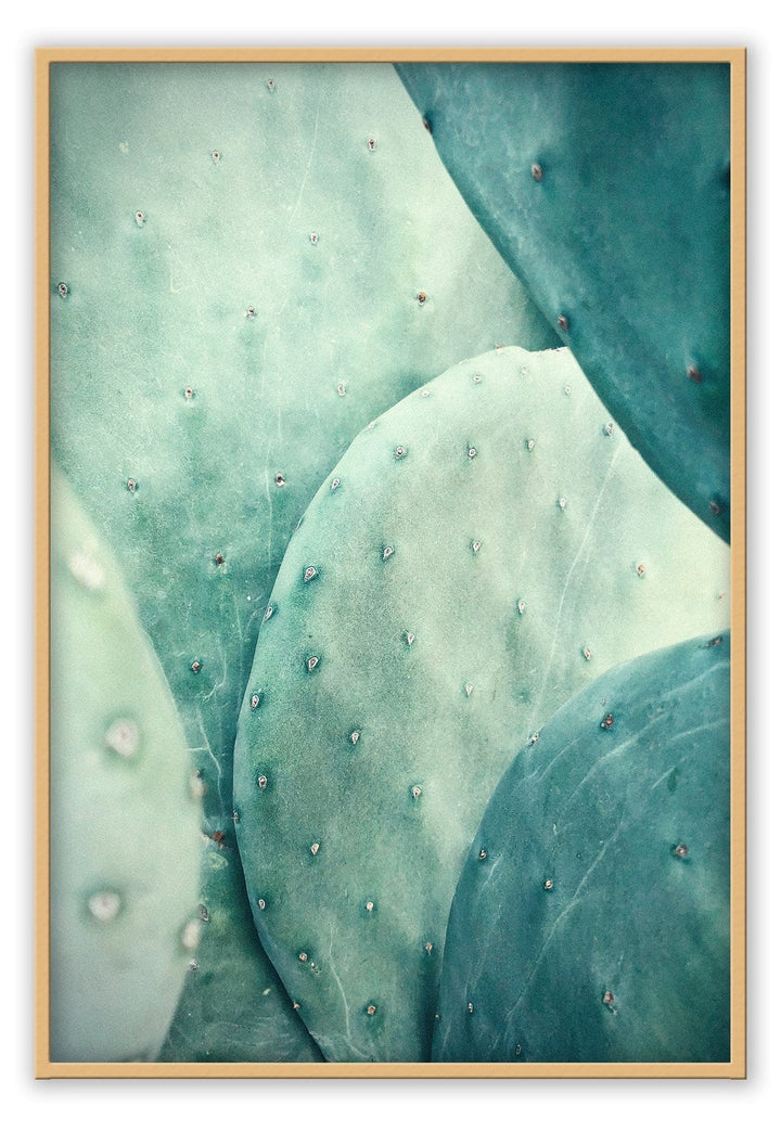 Canvas Print Small		50x70cm / Oak Cactus Cactus Wall Art : Ready to hang framed artwork. Brand