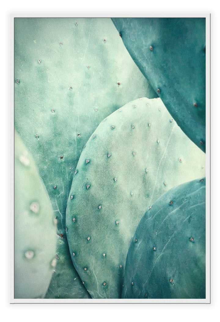 Canvas Print Small		50x70cm / White Cactus Cactus Wall Art : Ready to hang framed artwork. Brand
