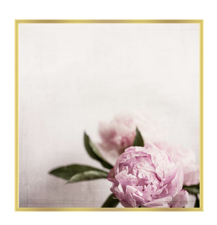 Canvas Print Small		50x50cm / Gold Canvas Rose Canvas Rose Wall Art : Ready to hang framed artwork. Brand