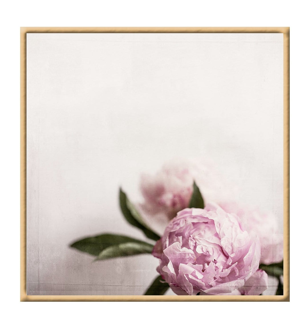 Canvas Print Small		50x50cm / Oak Canvas Rose Canvas Rose Wall Art : Ready to hang framed artwork. Brand