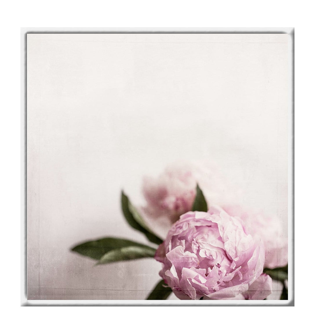 Canvas Print Small		50x50cm / White Canvas Rose Canvas Rose Wall Art : Ready to hang framed artwork. Brand