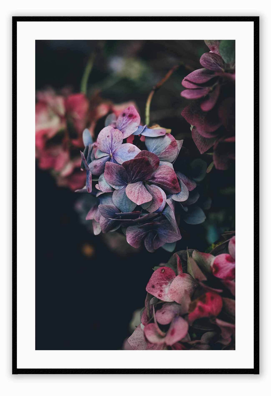 Canvas Print 50x70cm / Black Floral Mood Floral Mood Framed Print Brand