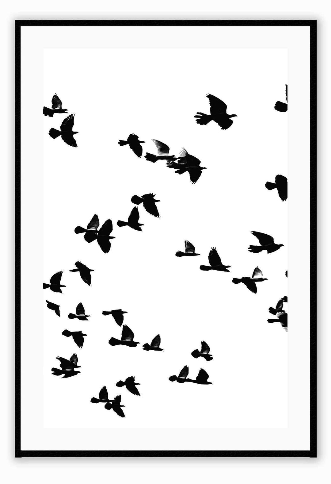 Canvas Print Small		50x70cm / Black Sky birds I Sky birds I Framed Prints Brand