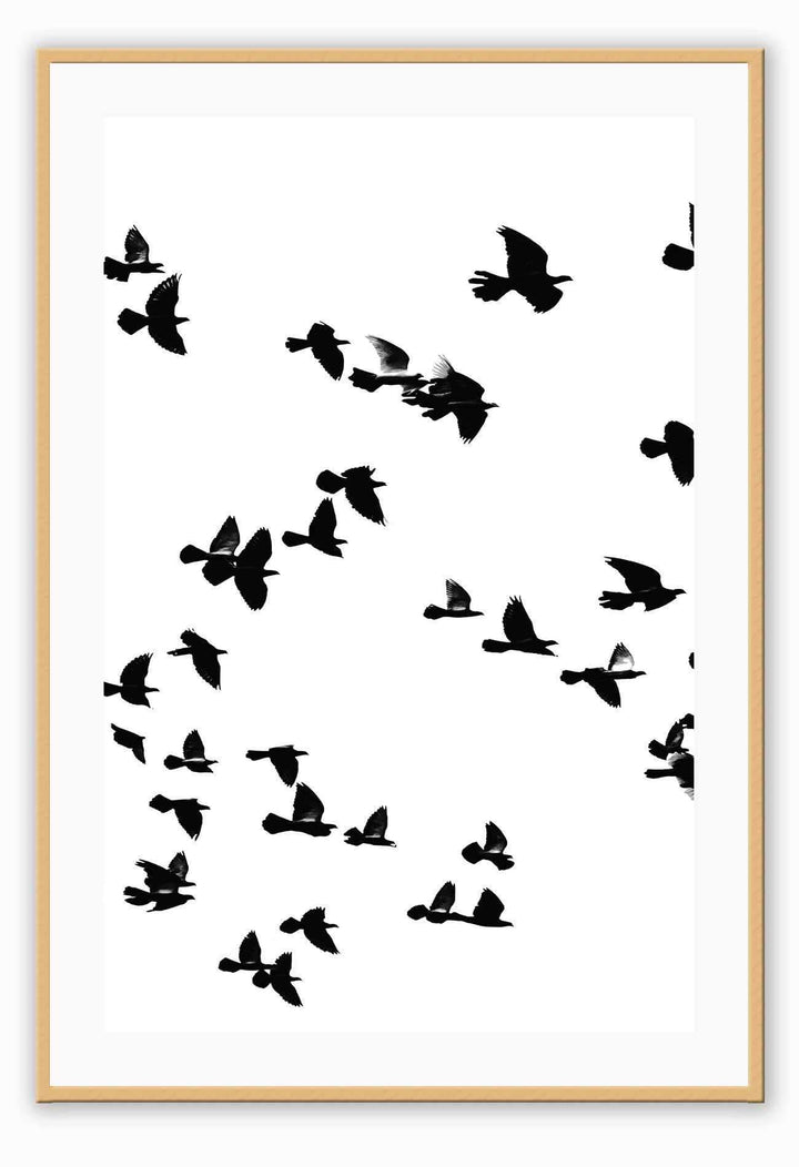Canvas Print Small		50x70cm / Oak Sky birds I Sky birds I Framed Prints Brand
