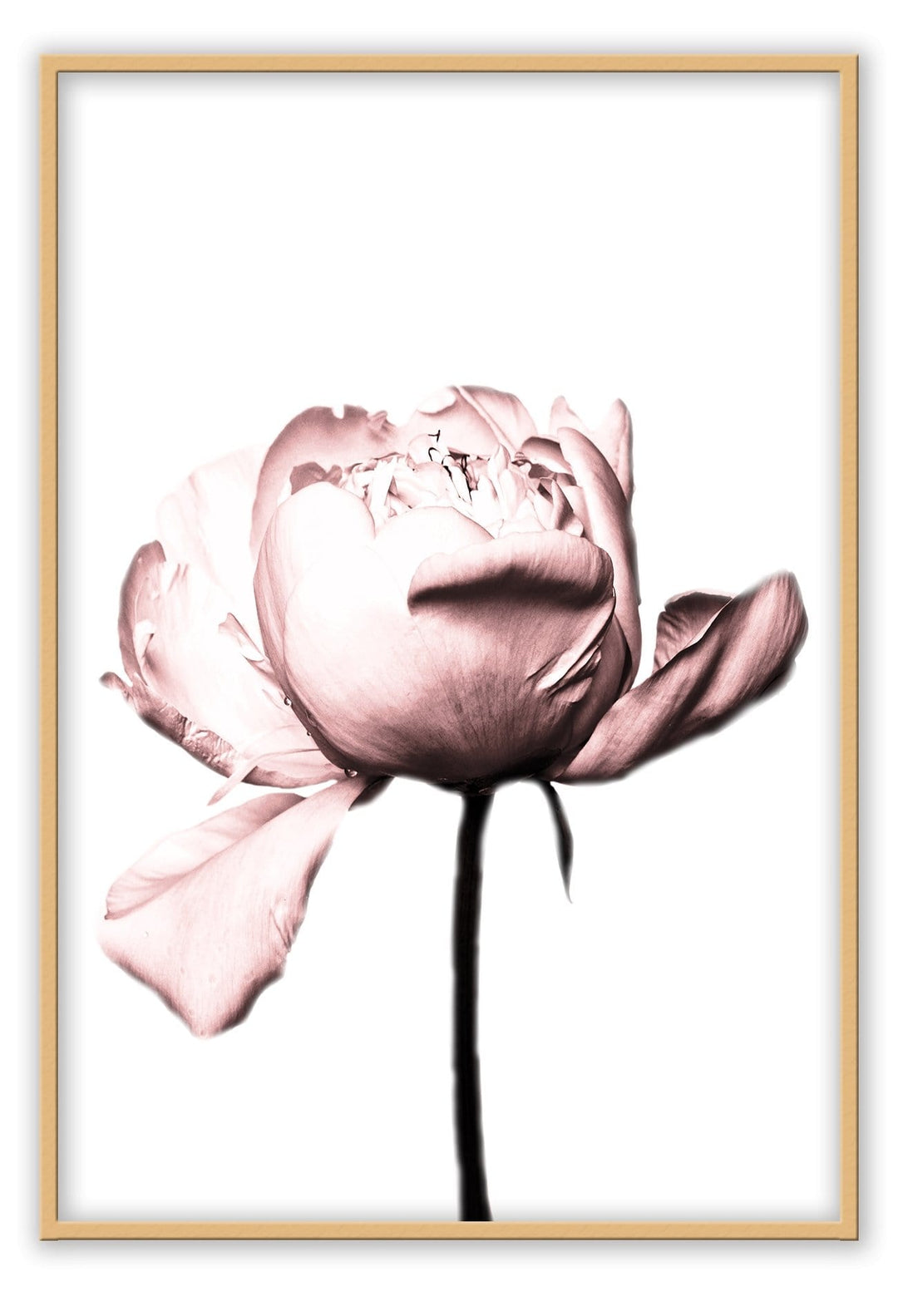 Canvas Print Small		50x70cm / Oak Vintage rose Vintage rose framed print Brand