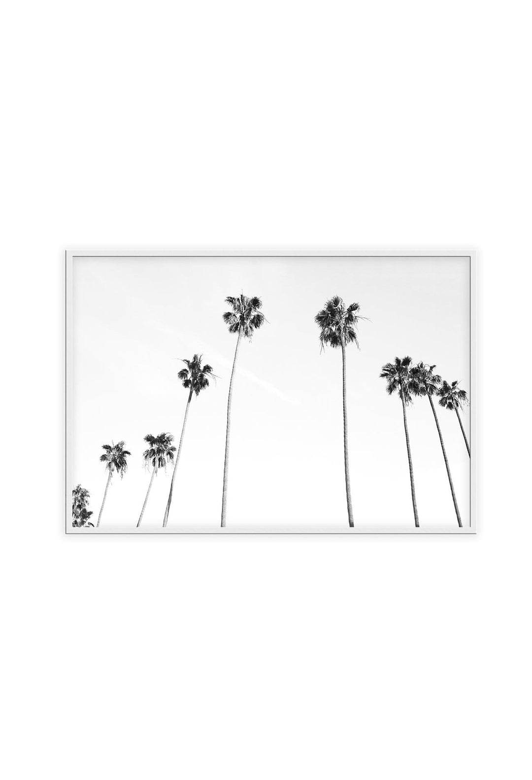 Canvas Print White Sky White sky Framed Print Brand