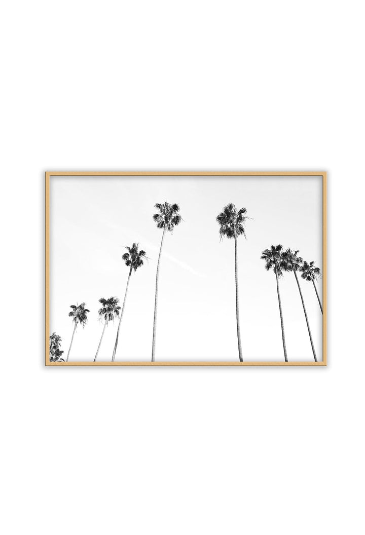 Canvas Print White Sky White sky Framed Print Brand